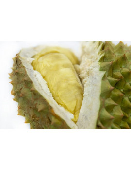 Durian Mornthong [ganze Frucht]