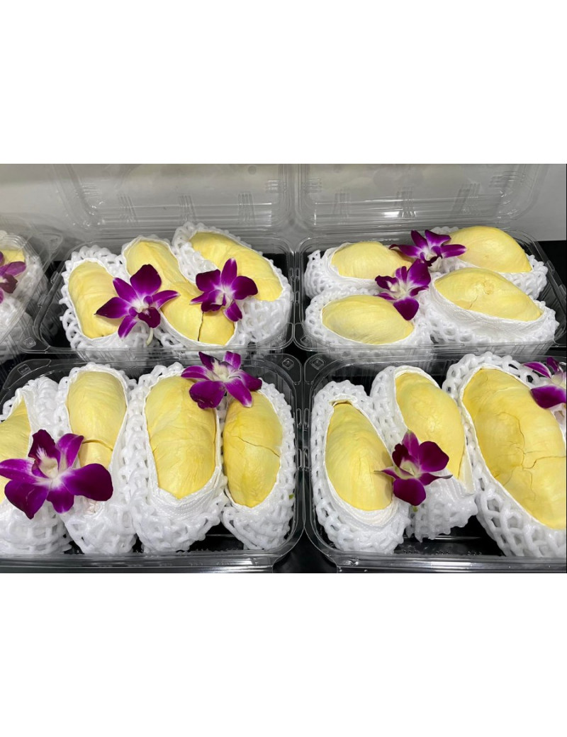 Durian MornThong Fruchtfleisch [1000g]