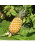 Ananas Phuket