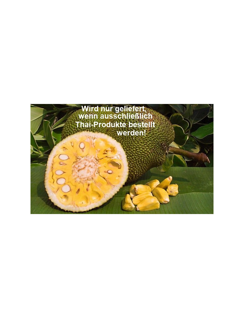 Jackfruit [geschnittene Stücke]