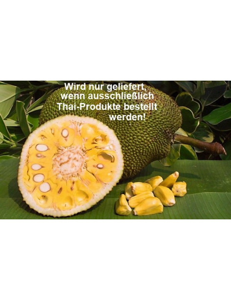 Jackfruit [geschnittene Stücke]