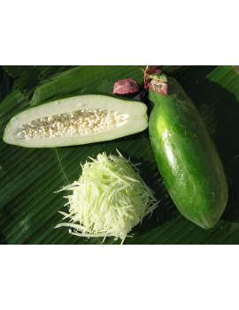 Papaya grün