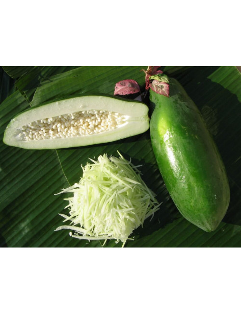 Papaya grün