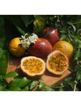 Passionsfrucht Thai