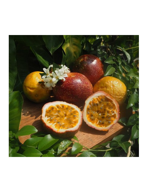 Passionsfrucht Thai