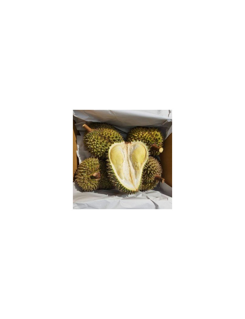 Durian MornThong [Frucht][8kg Box]