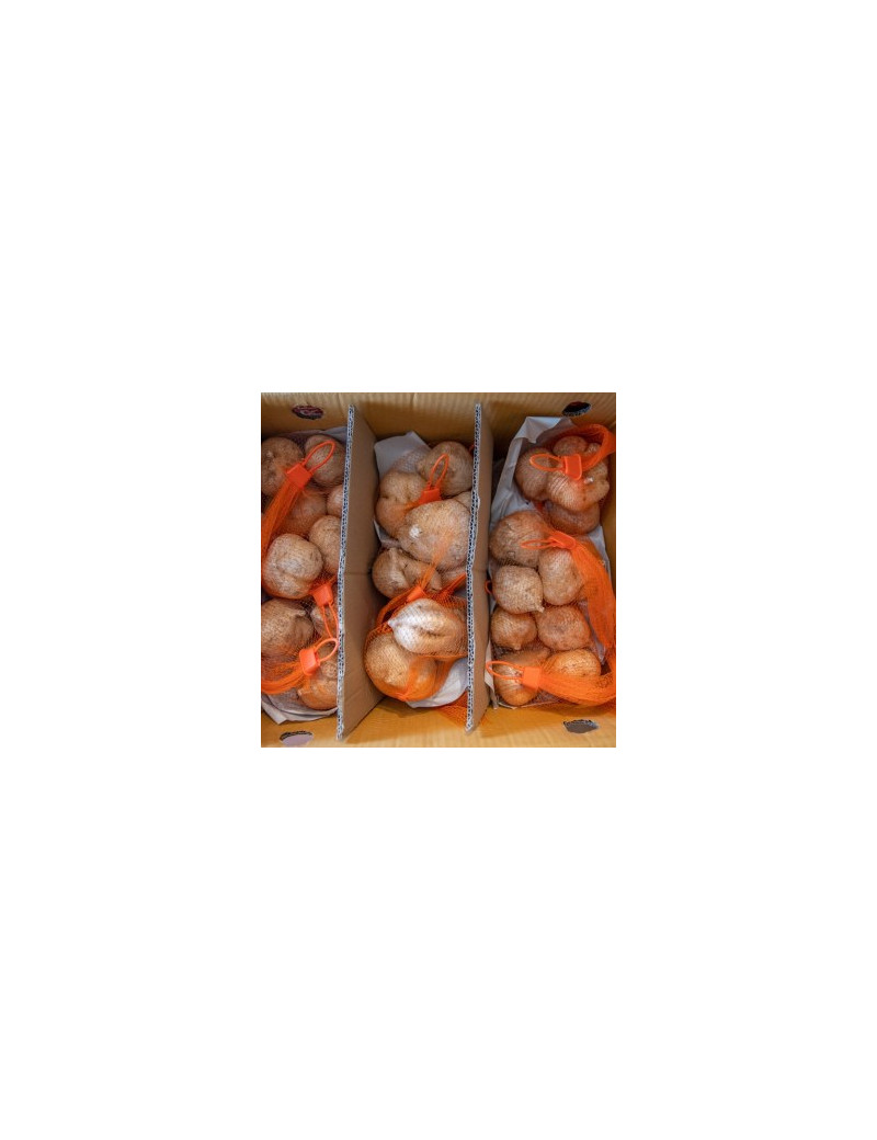 Jicama / ManGaew [10kg Box]