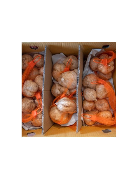 Jicama / ManGaew [10kg Box]