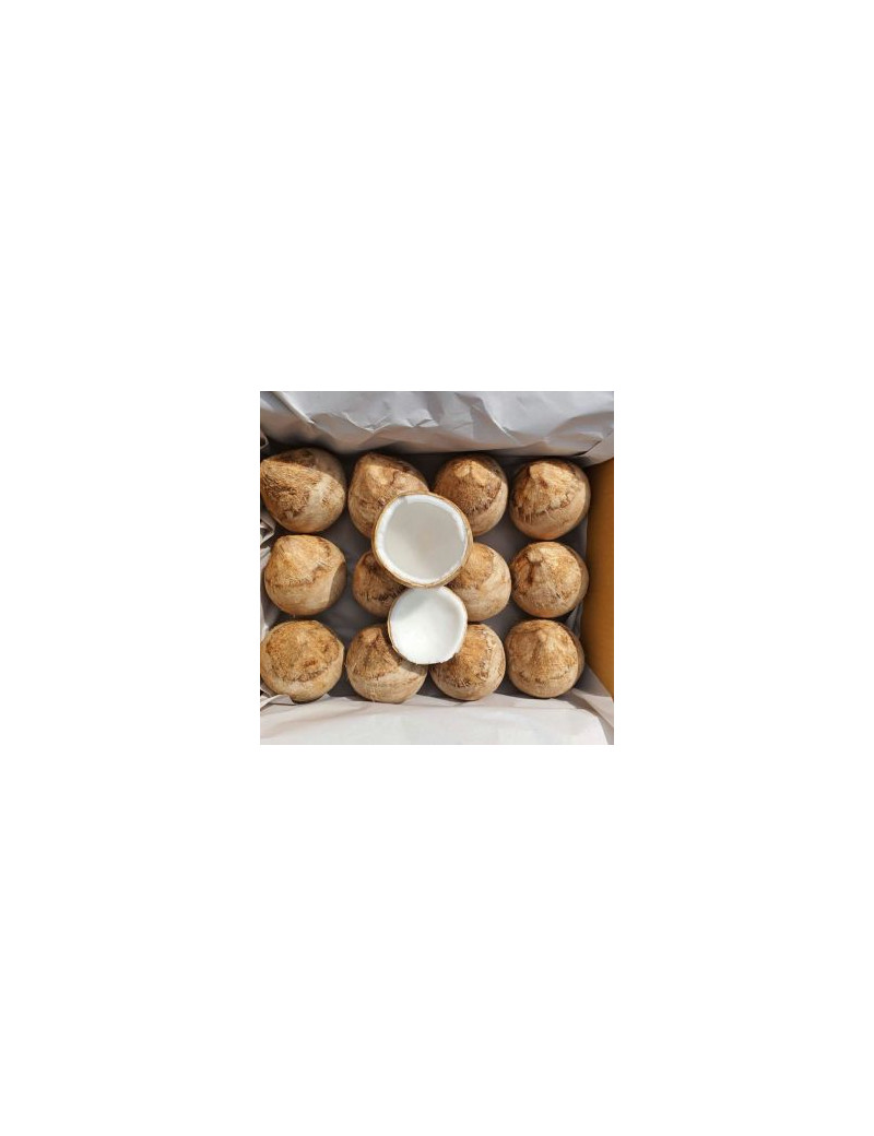 Kokosnuss NamHom light [6kg Box]