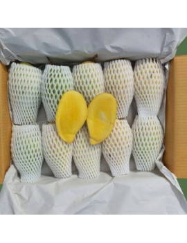 Mango NamDokMai [10kg...