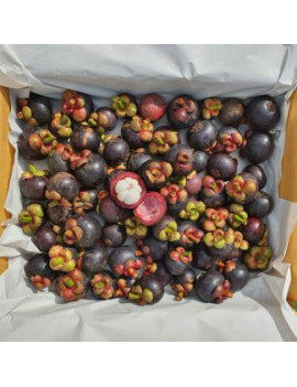 Mangostan [10kg Box]