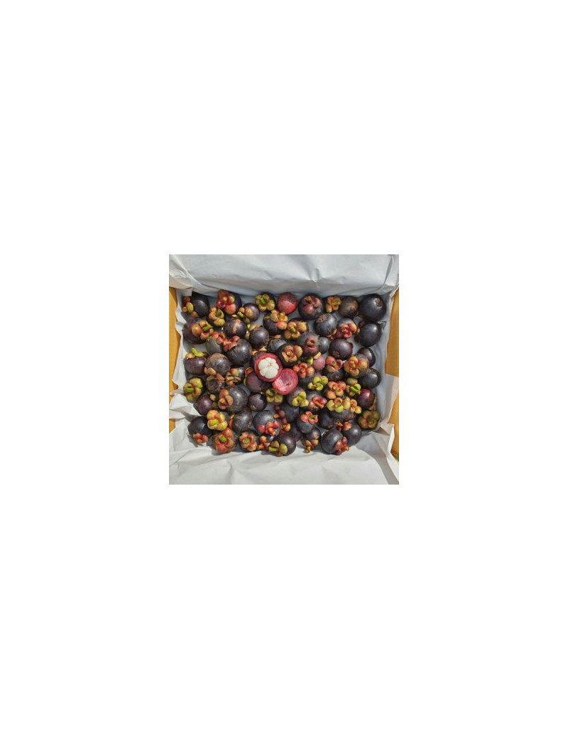 Mangostan [10kg Box]