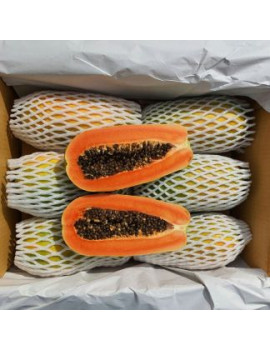 Papaya PakMaiRai [10kg...