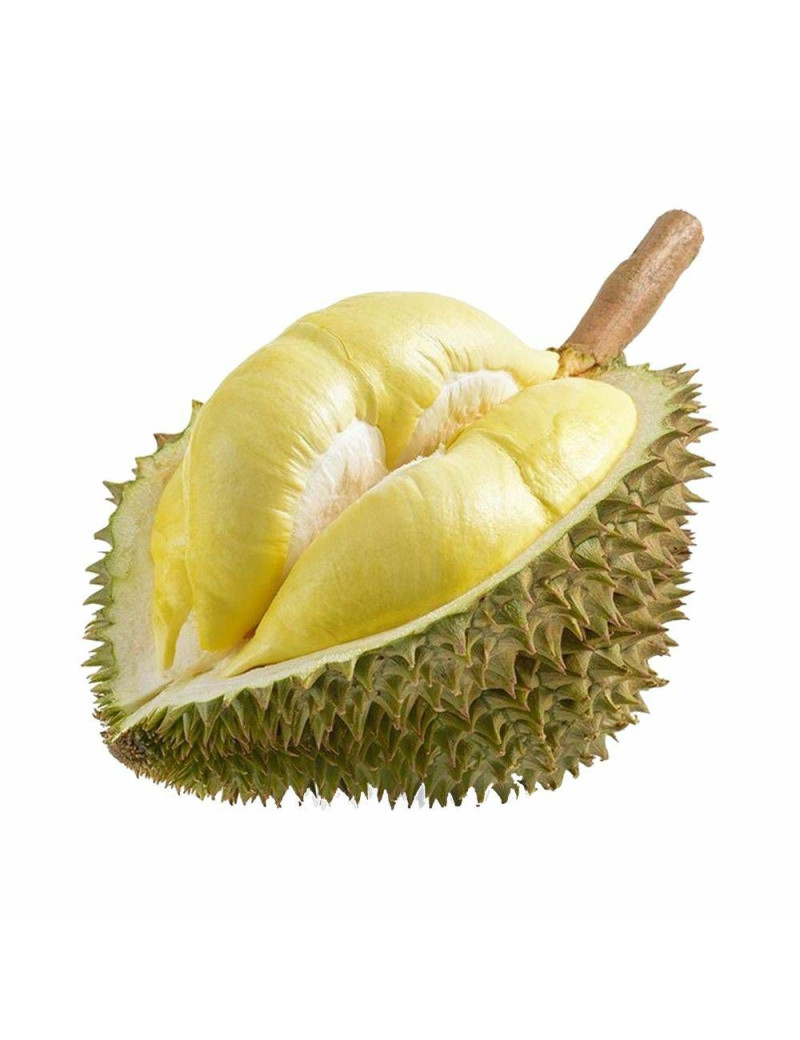 Durian Mornthong