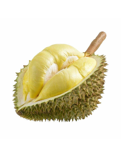 Durian Mornthong Durian Mornthong