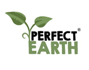 3. PERFECT EARTH